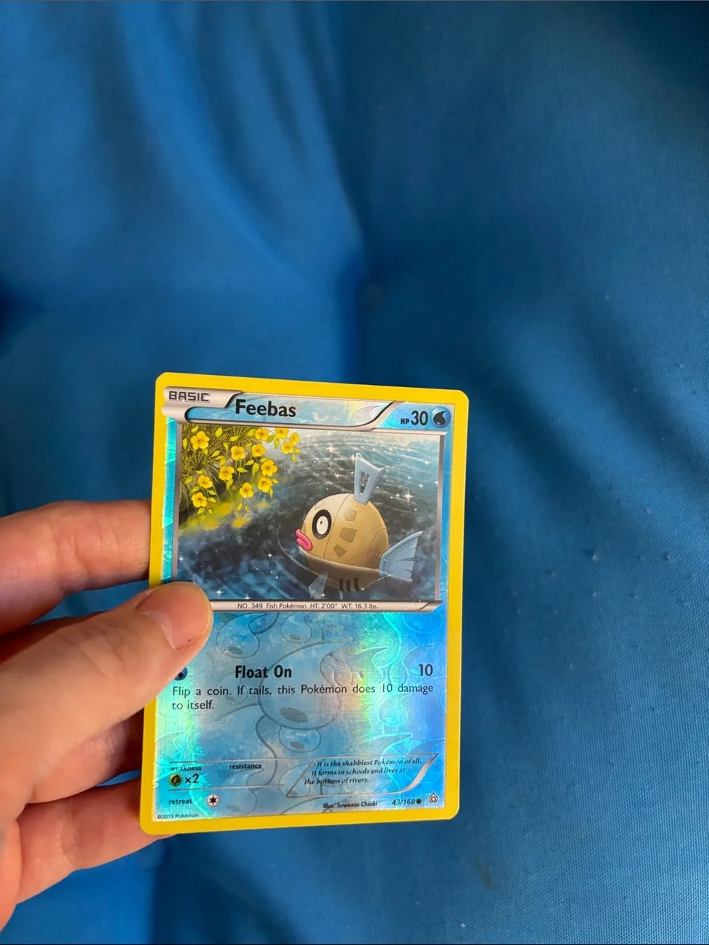 Pokémon Cards Feebas HP 30 2015 Water Type Pokemon NWOTS